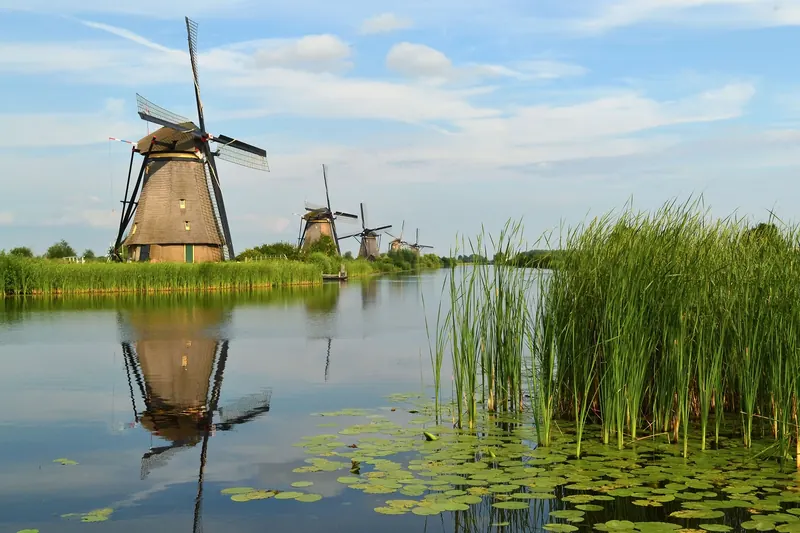 Kinderdijk World Heritage Foundation: fibre and WiFi for over 300,000 visitors a year